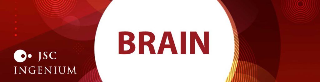 JSC Ingenium - News: Product demo - BRAIN